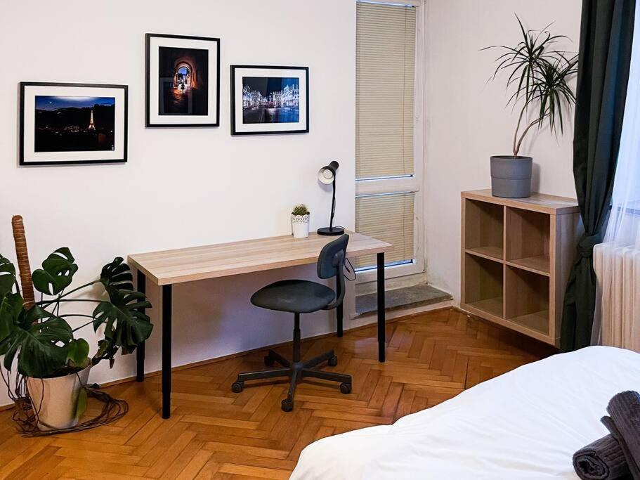 Rodinny Byt Pro 4 Na Brno-Stred Ngoại thất bức ảnh